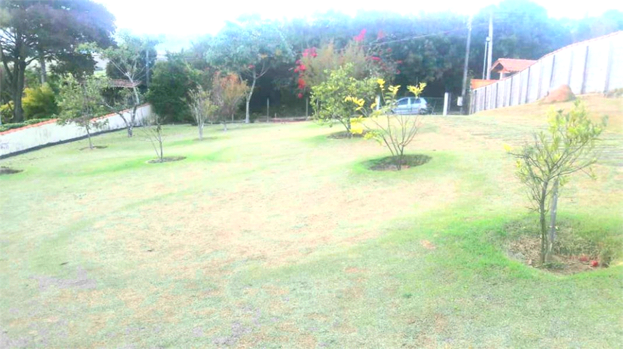 Foto REO1088761