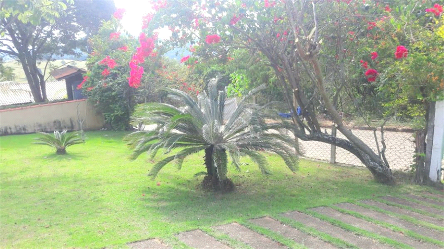 Foto REO1088761
