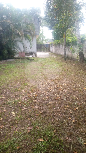 Foto REO1088768