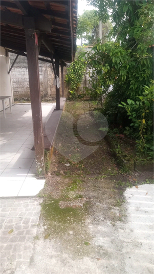Foto REO1088768