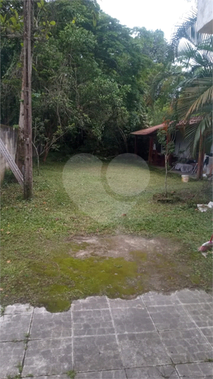 Foto REO1088768