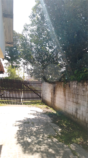 Foto REO1088768