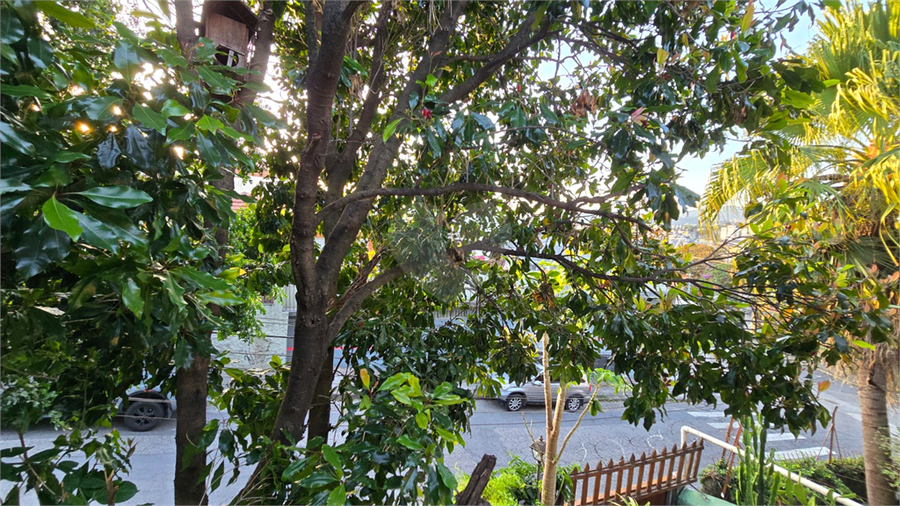Foto REO1088769