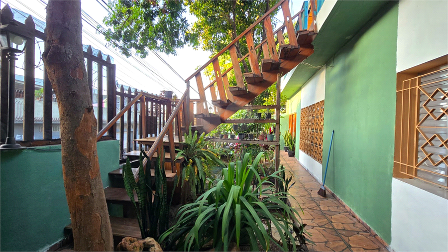 Foto REO1088769