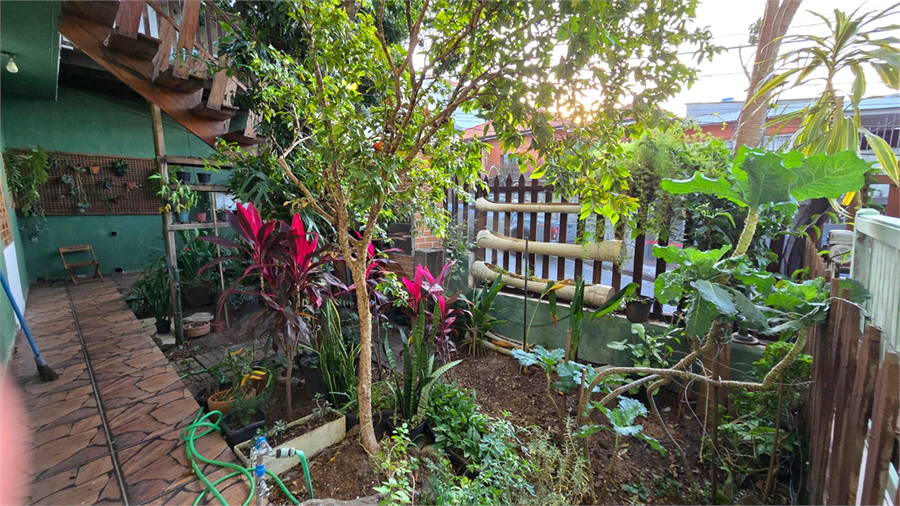 Foto REO1088769