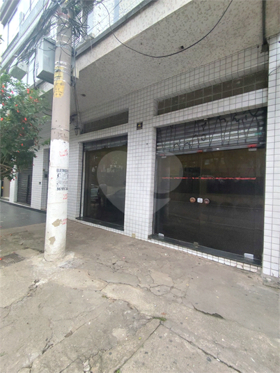 Foto REO1088772