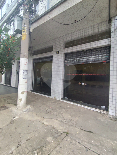 Foto REO1088772