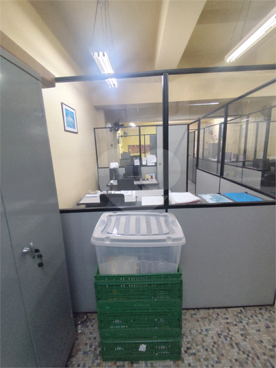 Foto REO1088772