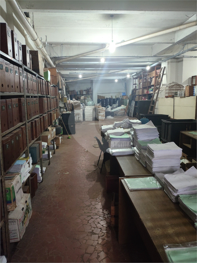 Foto REO1088772