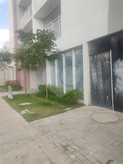 Foto REO1088776