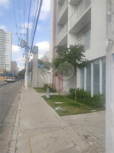 Foto REO1088776