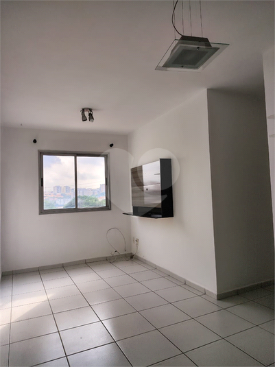 Foto REO1088780