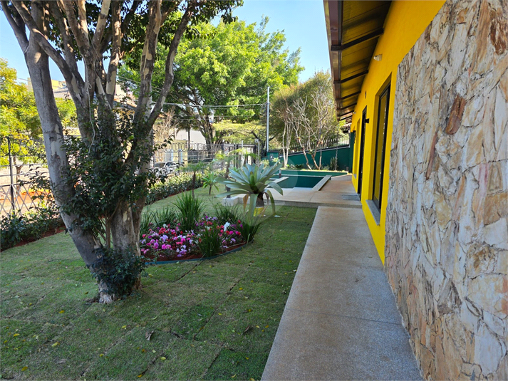Foto REO1088791