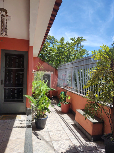 Foto REO1088799