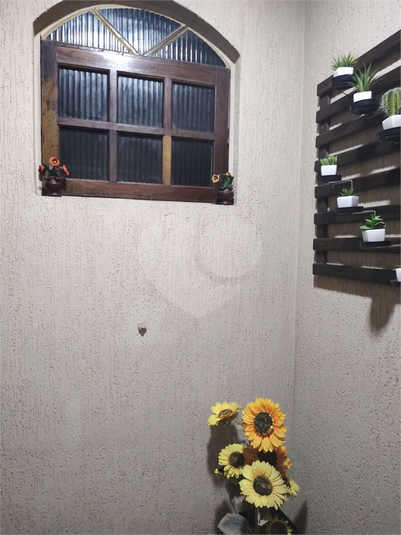 Foto REO1088801