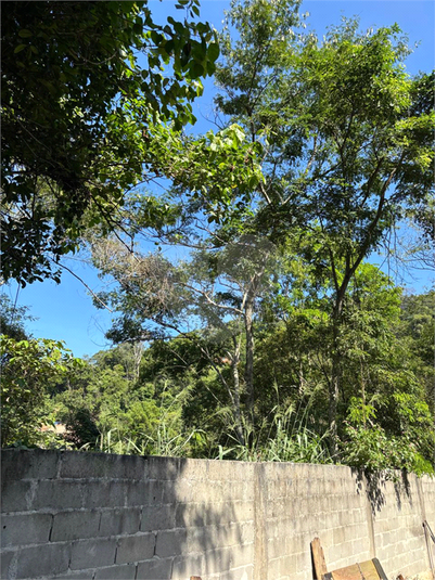 Foto REO1088805