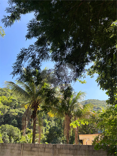 Foto REO1088805