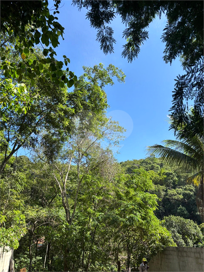 Foto REO1088805