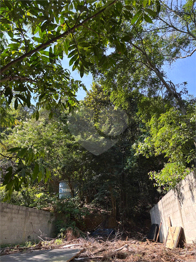 Foto REO1088805