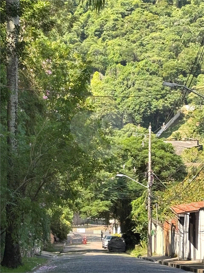 Foto REO1088805