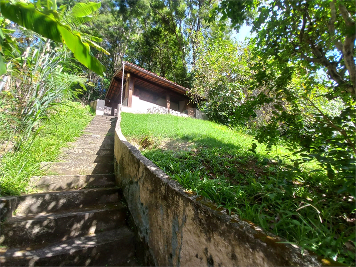 Foto REO1088821