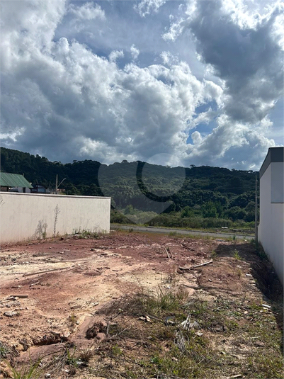 Foto REO1088830