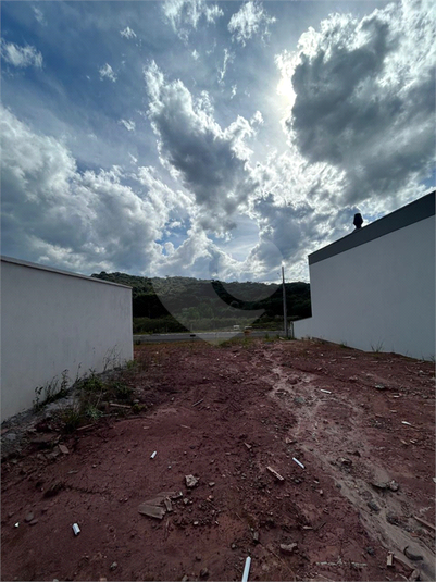 Foto REO1088830