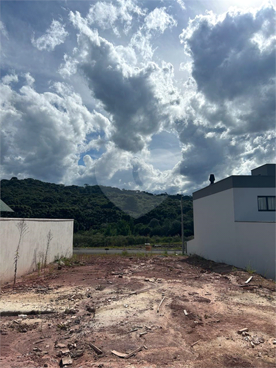 Foto REO1088830