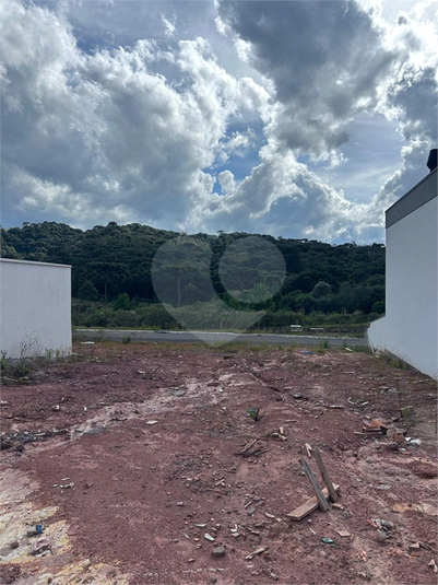 Foto REO1088830