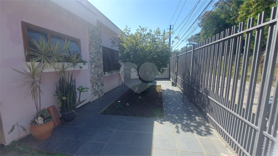 Foto REO1088837
