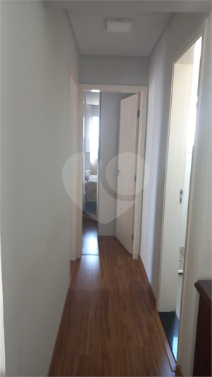 Foto REO1088838