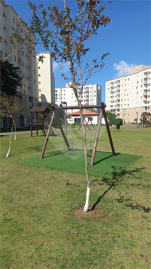 Foto REO1088838