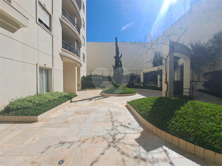 Foto REO1088843