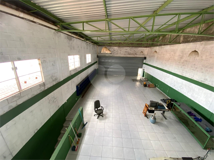 Foto REO1088848