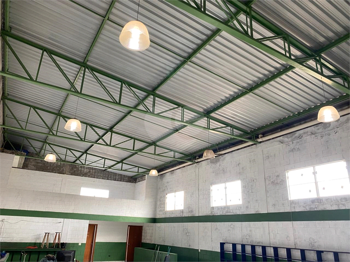 Foto REO1088848