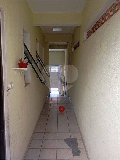 Foto REO1088859