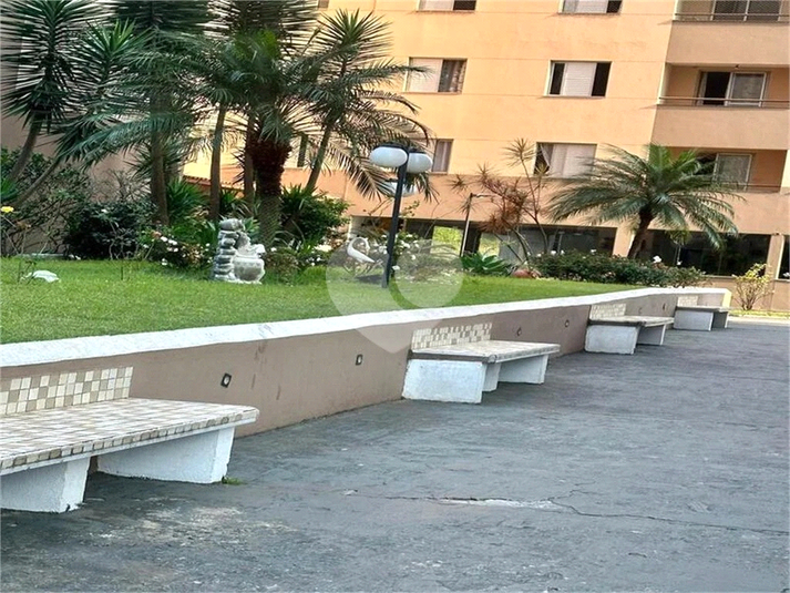 Foto REO1088861