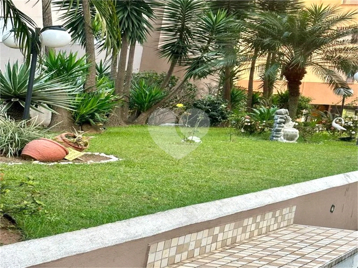 Foto REO1088861