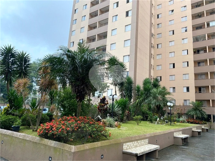 Foto REO1088861