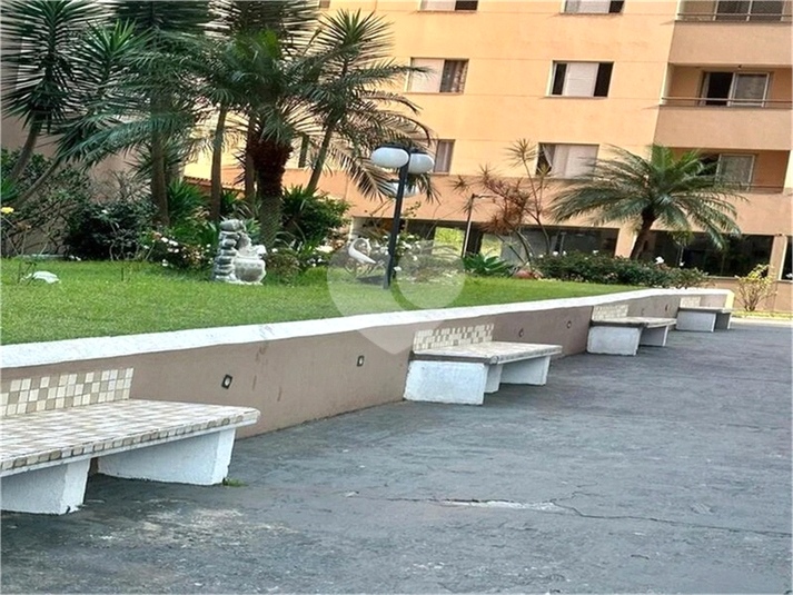 Foto REO1088861