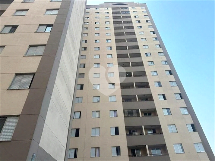 Foto REO1088861