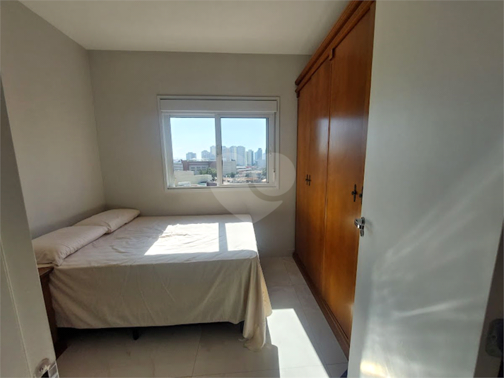 Foto REO1088867