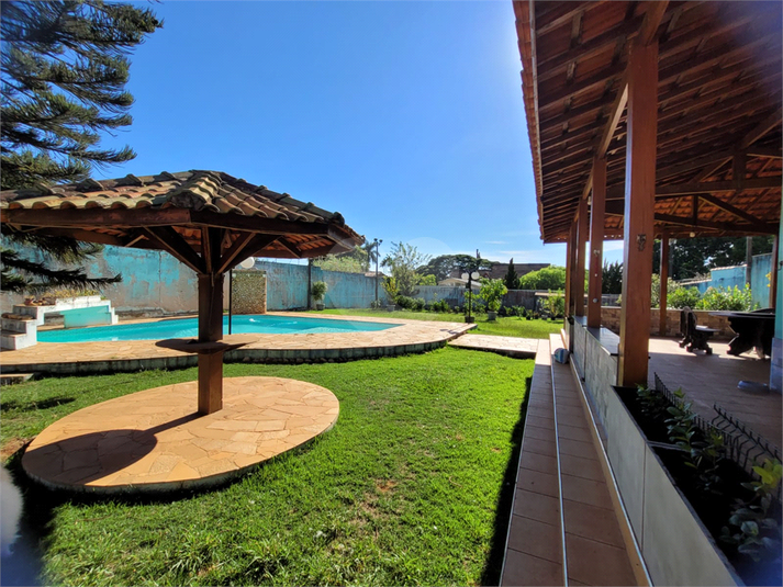 Foto REO1088869