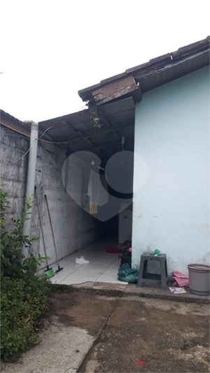 Foto REO1088877