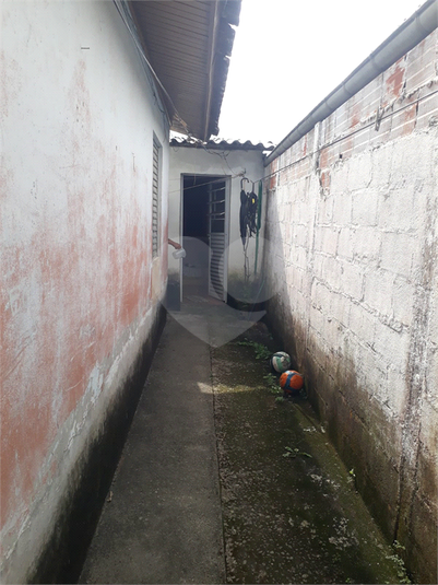 Foto REO1088877