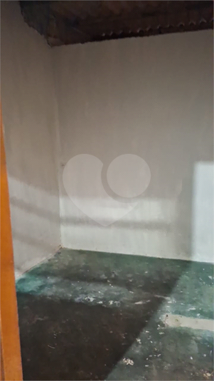 Foto REO1088877
