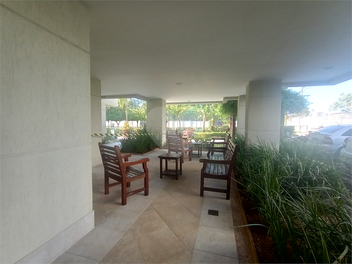Foto REO1088887