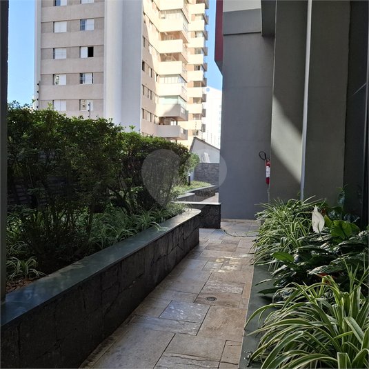Foto REO1088893