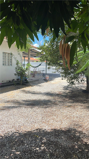 Foto REO1088895