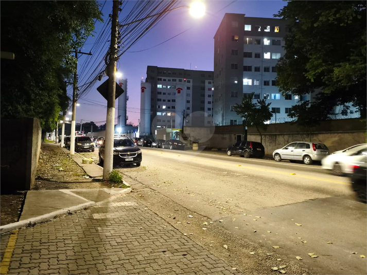 Foto REO1088899